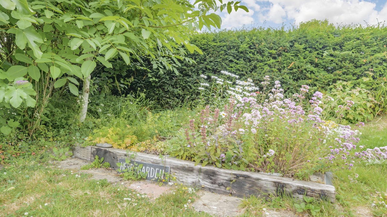 Photo of Others in Tre Taliesin