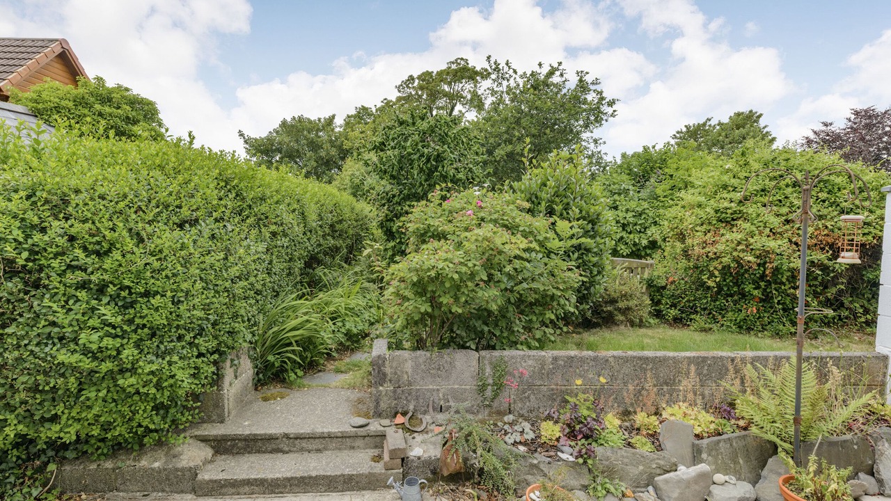 Photo of Others in Tre Taliesin