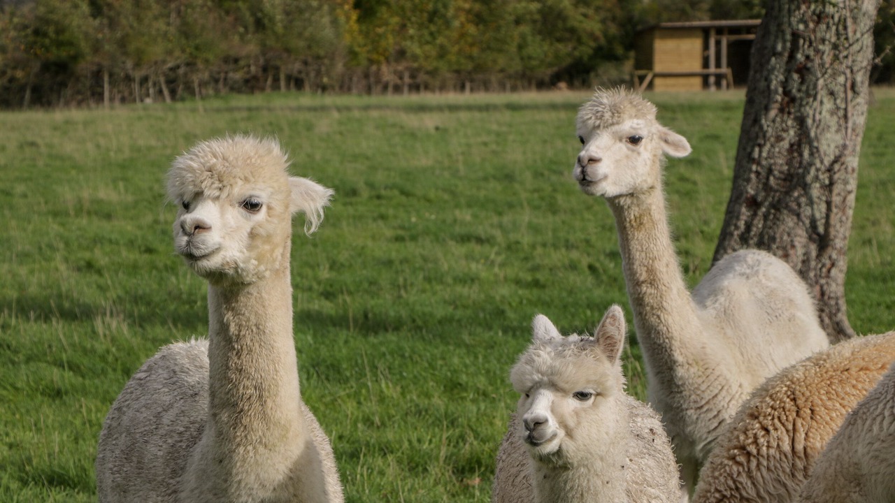 Photo of Others in Forest of Dean