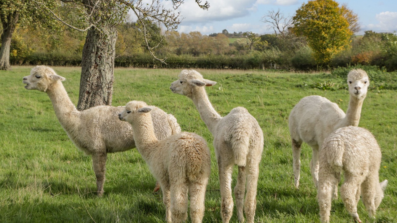 Photo of Others in Forest of Dean