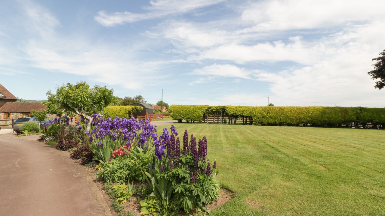 Photo of Others in Forest of Dean