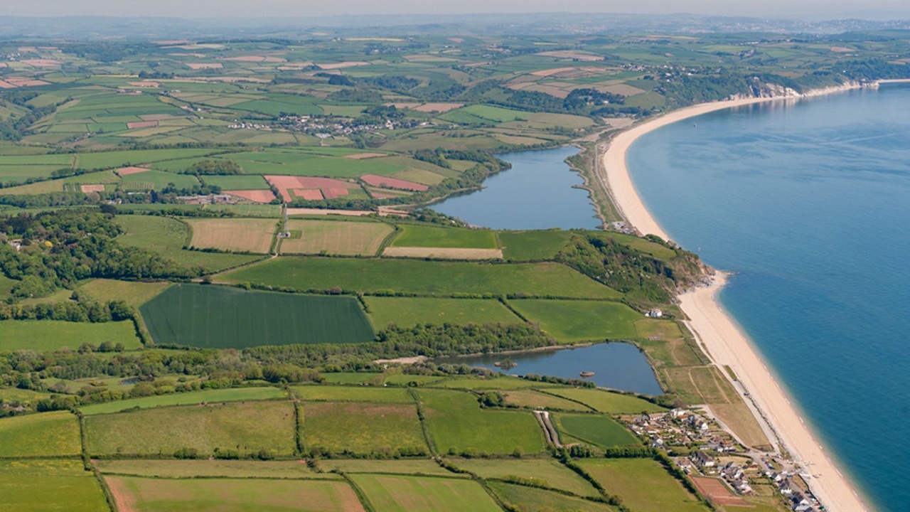 Photo of Others in Torcross