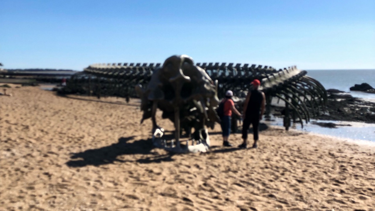 Photo of Others in Prefailles