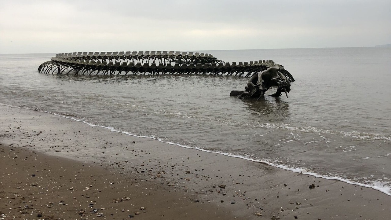 Photo of Outdoor in Prefailles