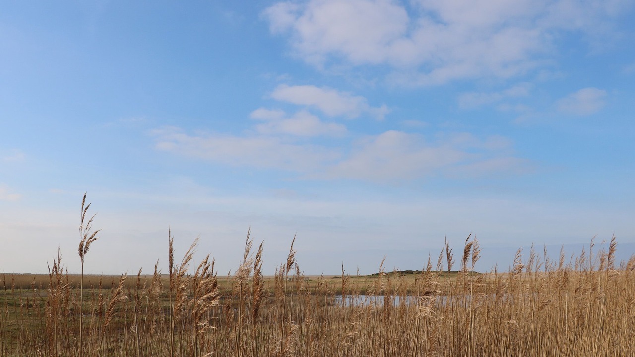 Photo of Others in Salthouse
