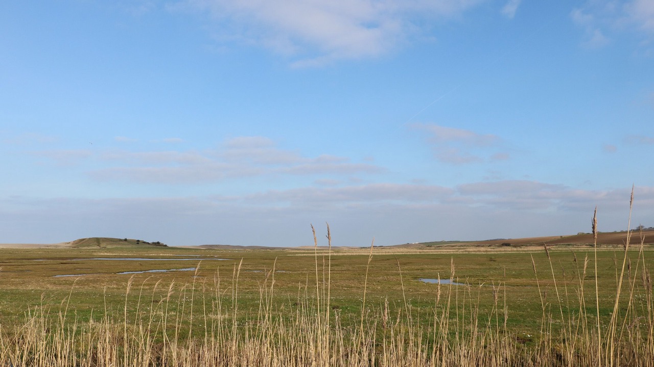 Photo of Others in Salthouse