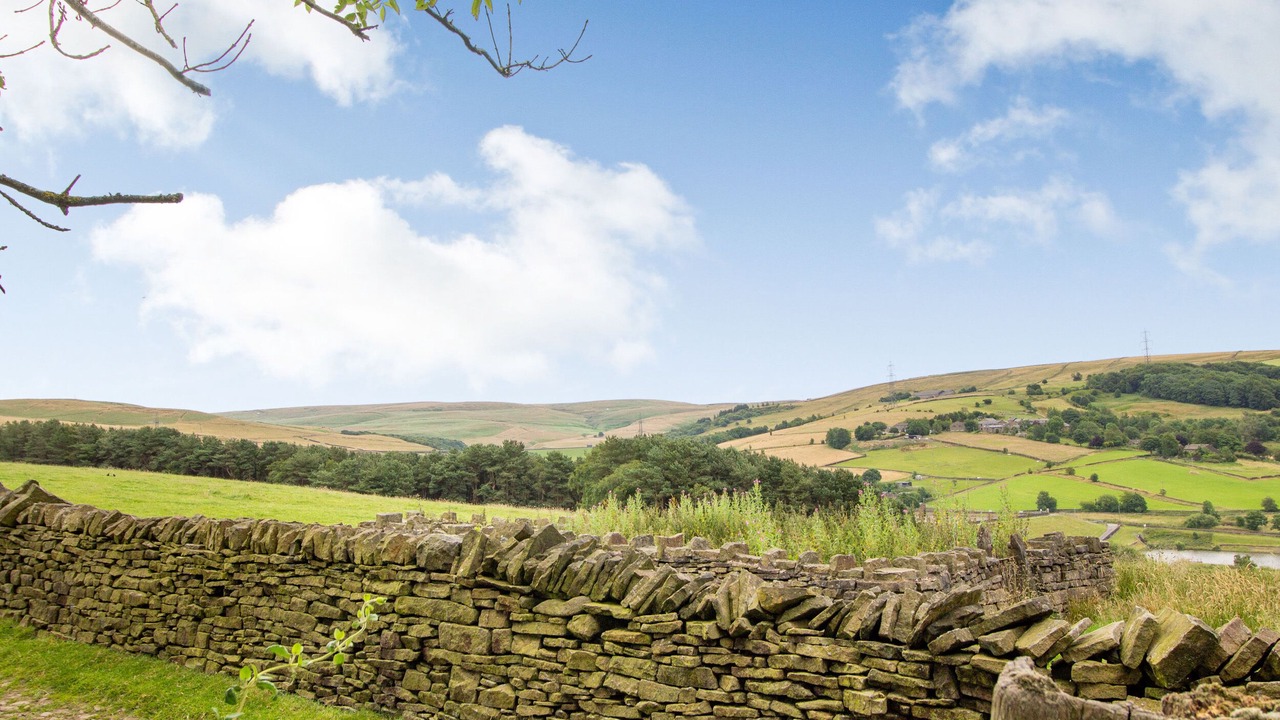 Photo of Others in New Hey