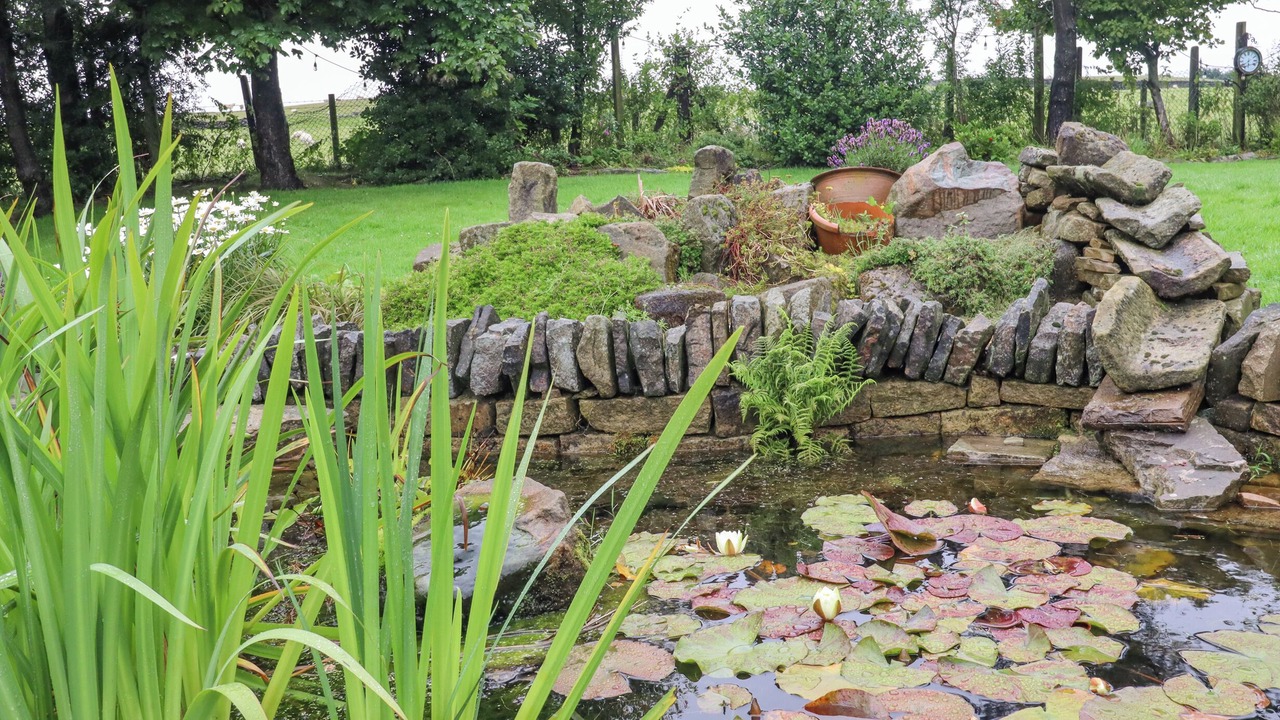 Photo of Others in New Hey