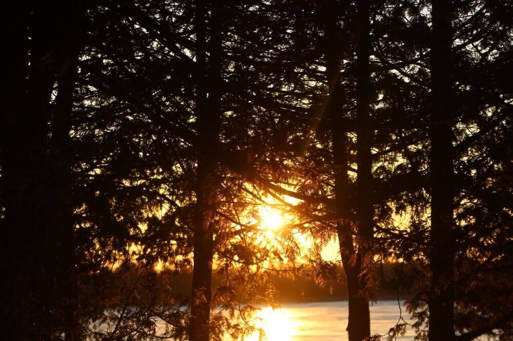 Photo of Outdoor in Selwyn