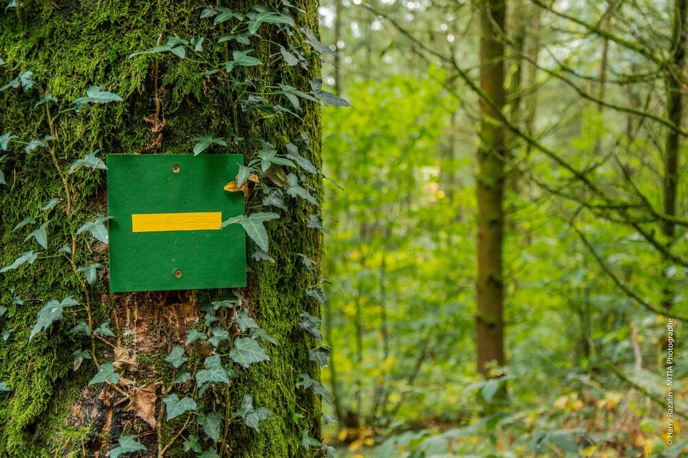 Photo of Others in Cognac-la-Foret