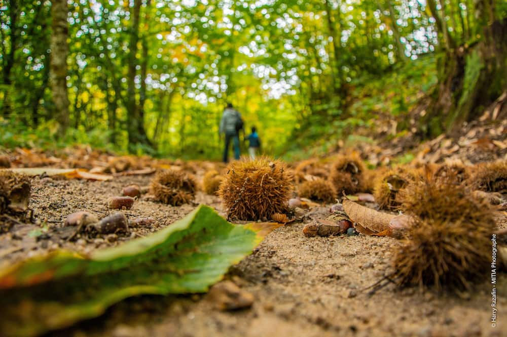 Photo of Outdoor in Cognac-la-Foret