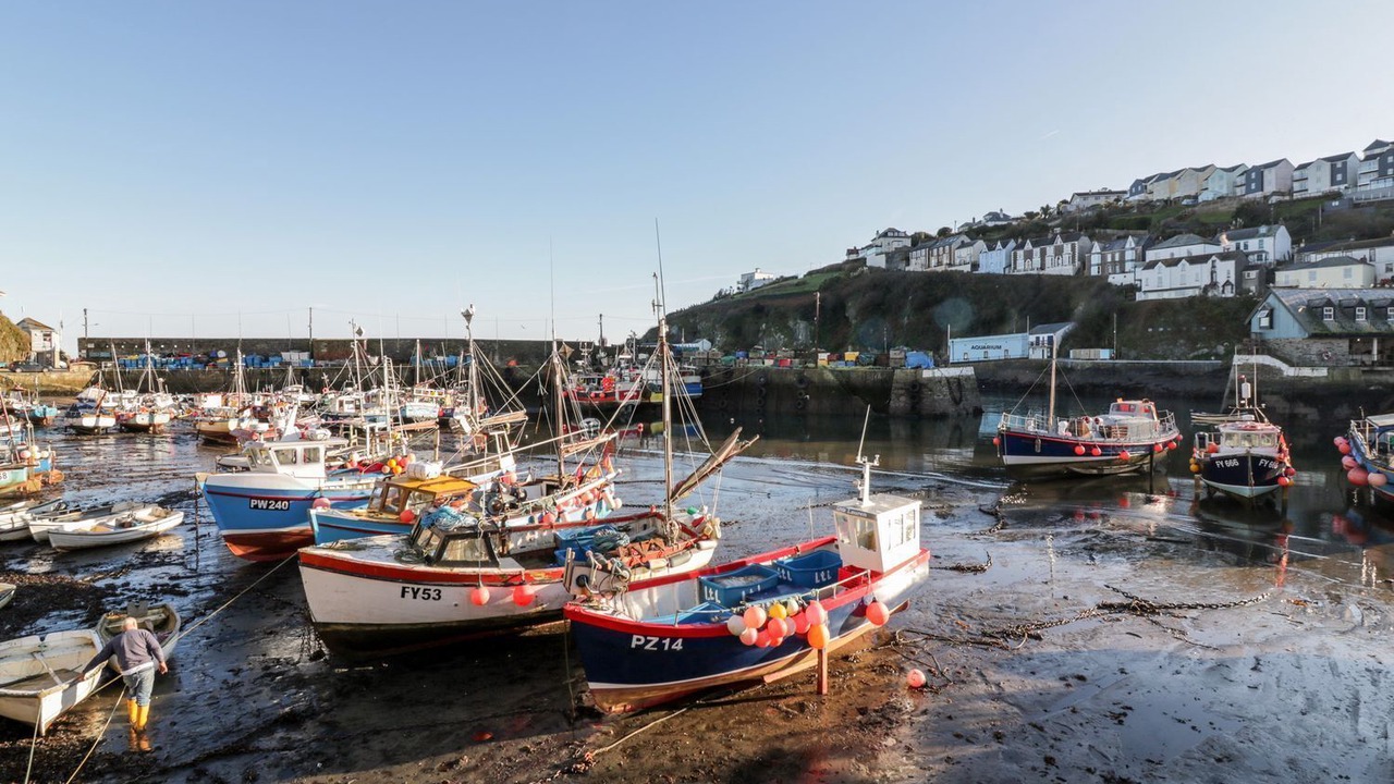 Photo of Others in Boscundle