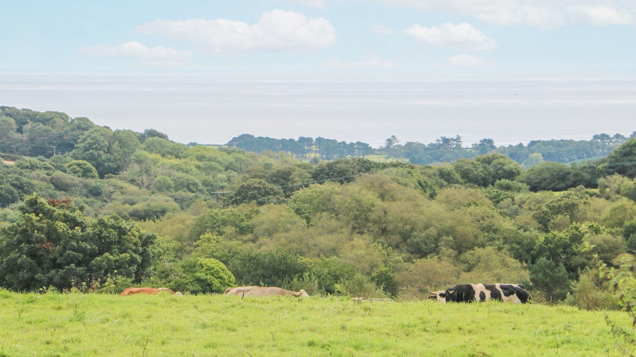 Photo of Others in Boscundle