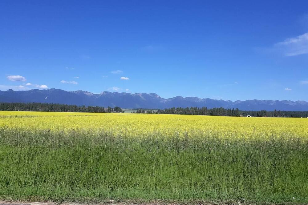 Photo of Others in Kalispell