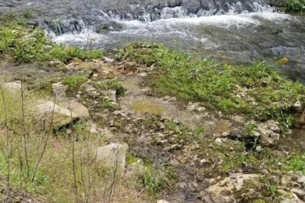 Photo of Outdoor in Licking