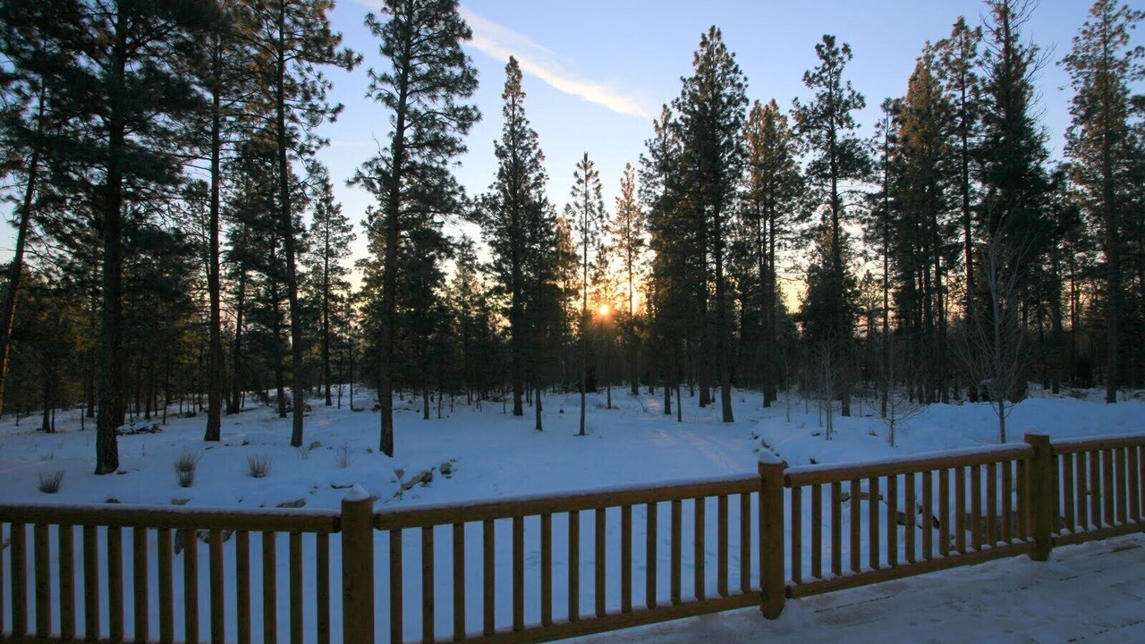 Photo of Outdoor in Hamilton