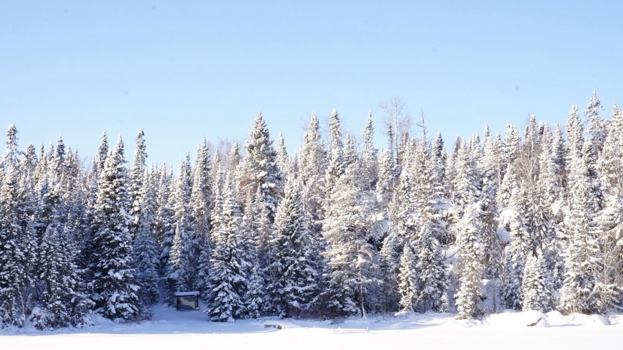 Photo of Others in Grand Marais