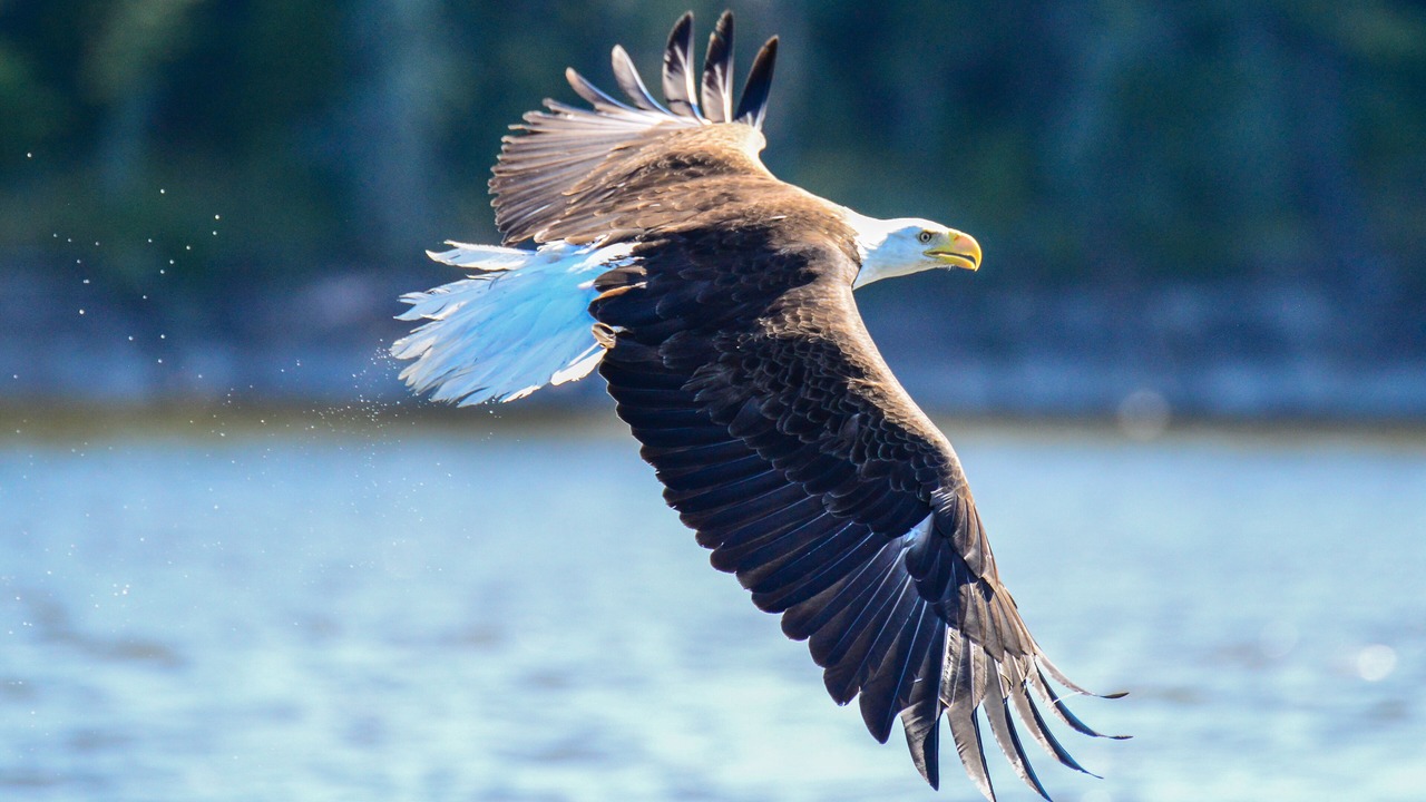 Photo of Others in Grand Marais