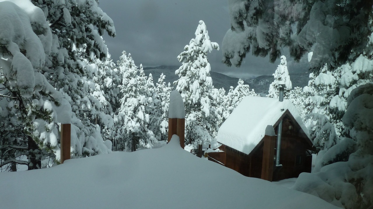Photo of Others in Rollinsville