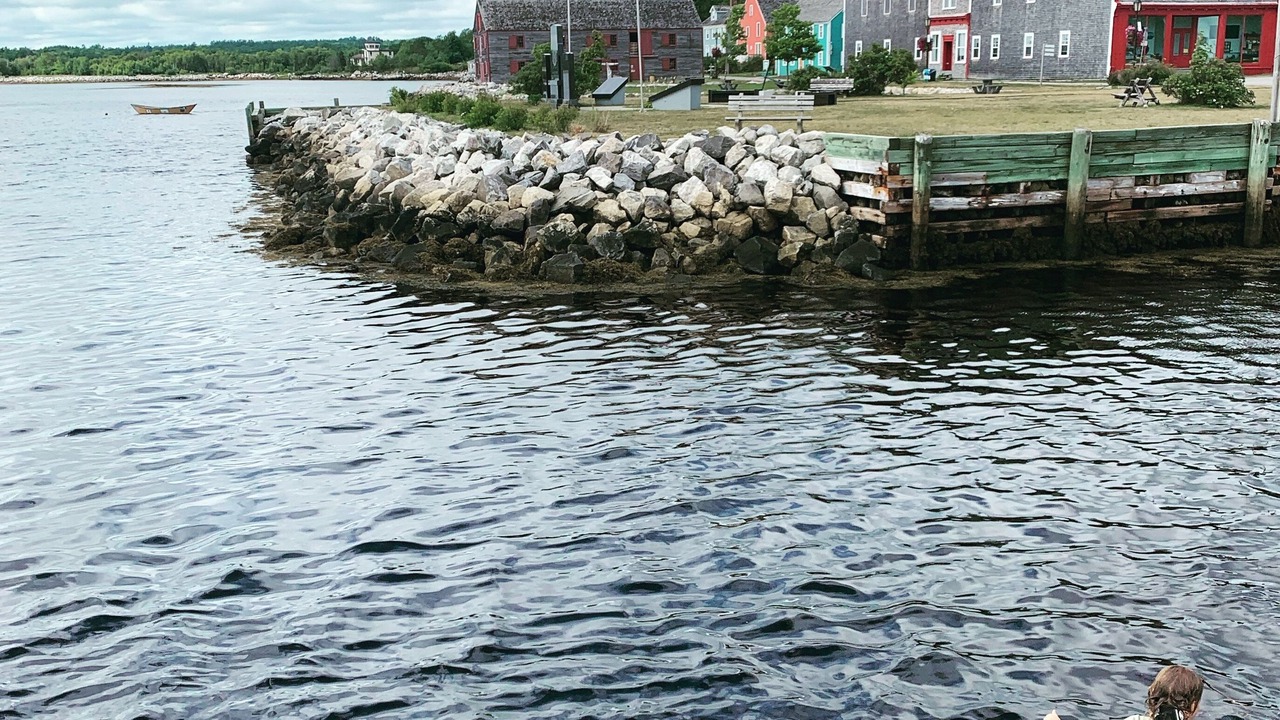 Photo of Others in Shelburne