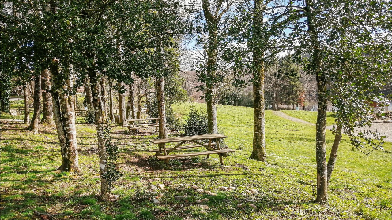 Photo of Outdoor in La Salvetat-sur-Agout