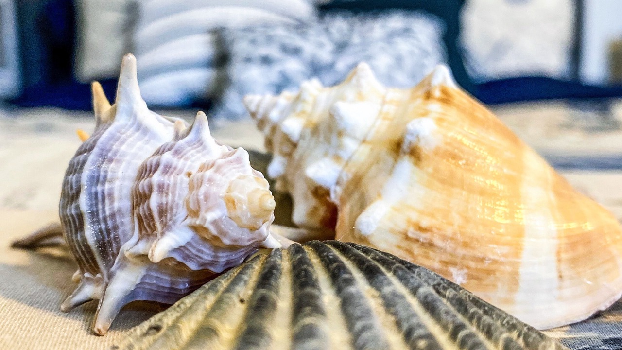 Photo of Bathroom in Nantucket