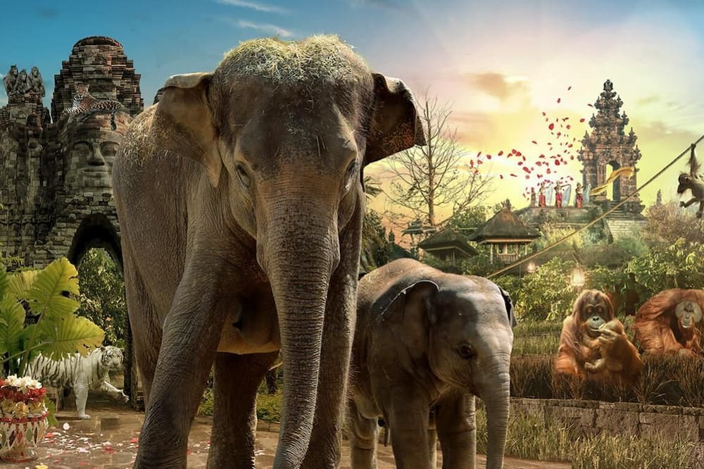 Photo of Others in Saultain