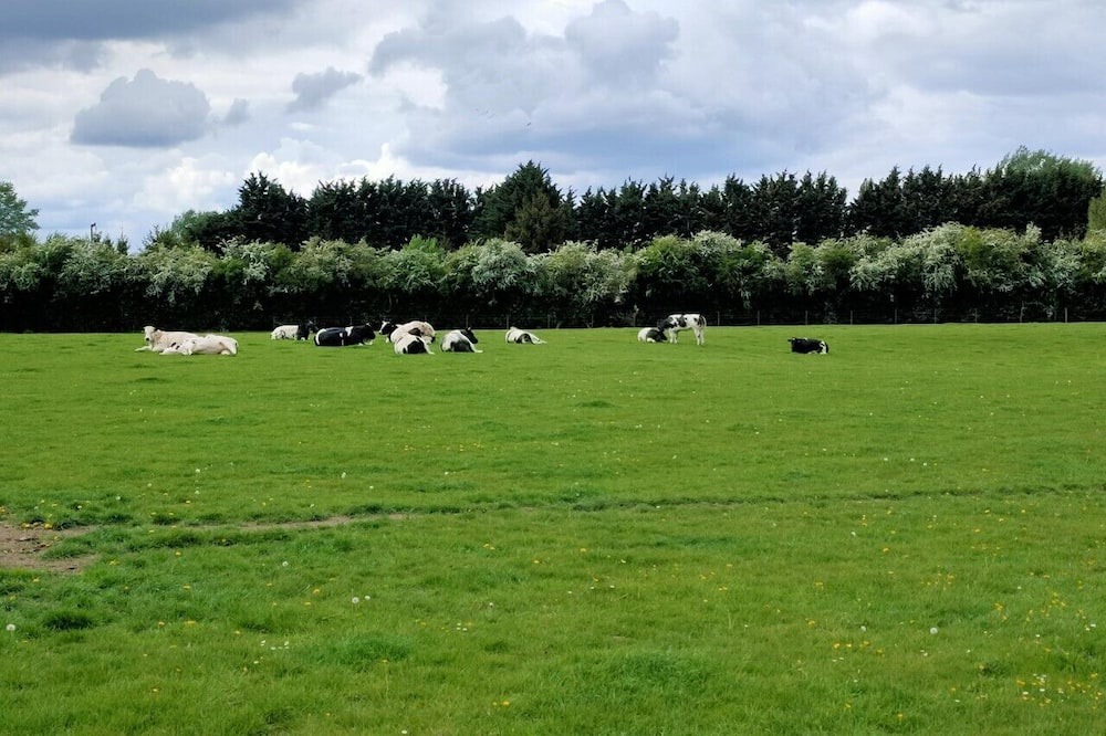 Photo of Others in Saultain