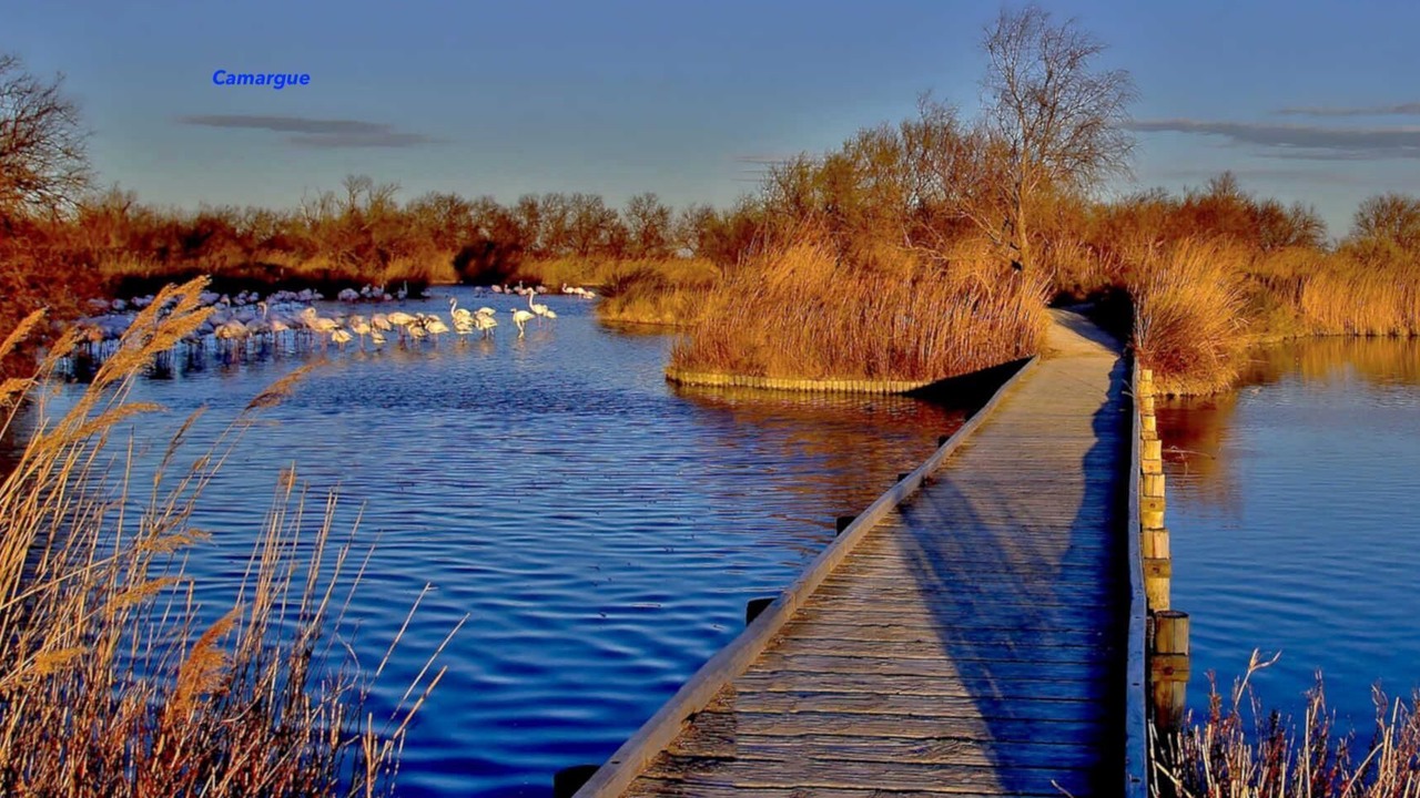 Photo of Others in Sorgues