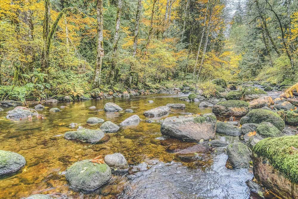 Photo of Outdoor in Rhododendron