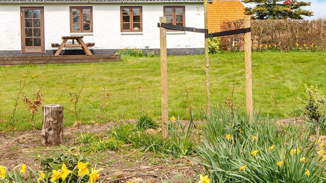 Photo of Outdoor in Gredstedbro