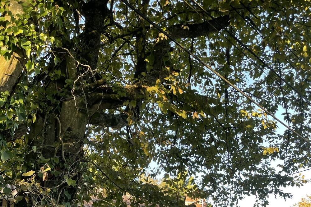 Photo of Outdoor in Beaufour-Druval
