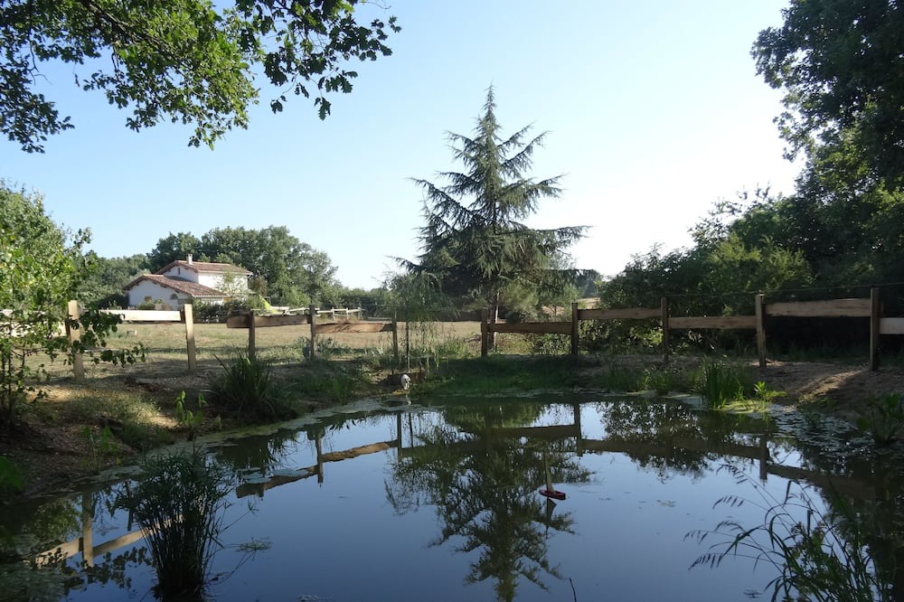 Photo of Outdoor in Lagraulet-Saint-Nicolas