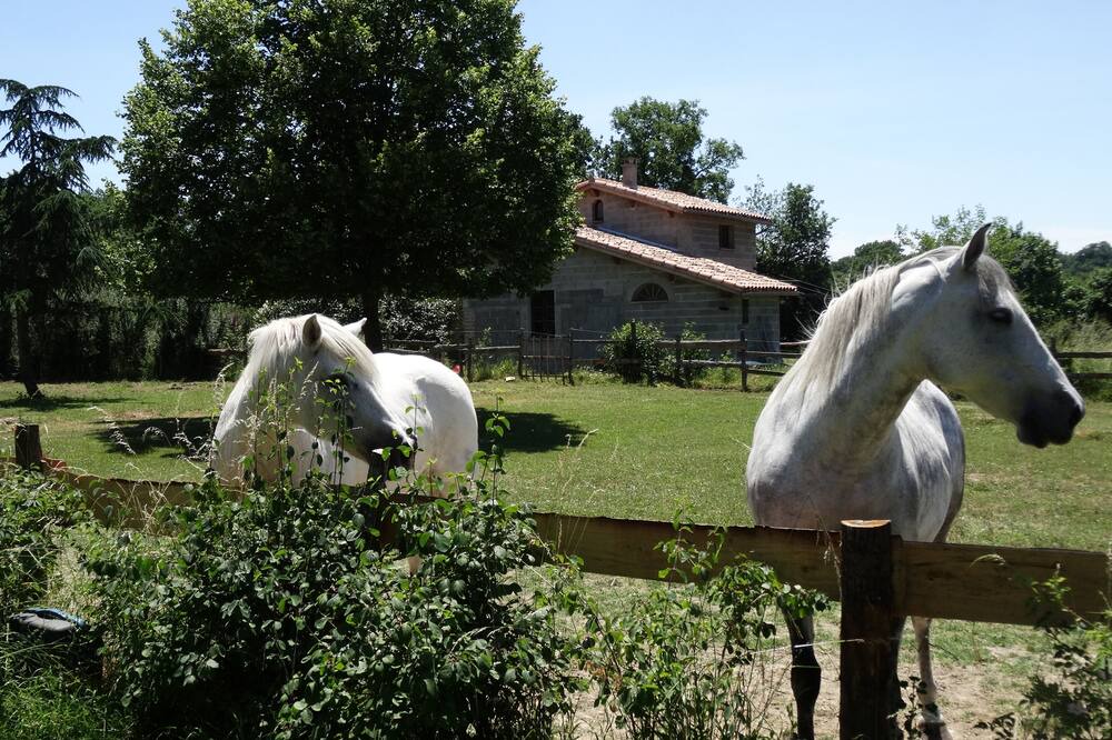 Photo of Outdoor in Lagraulet-Saint-Nicolas