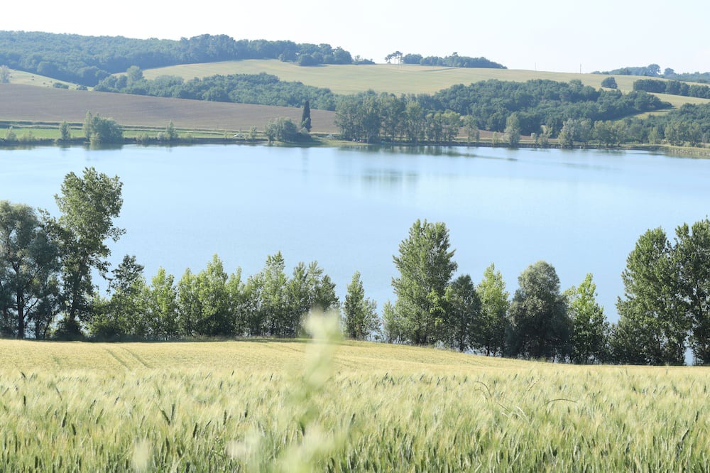 Photo of Others in Lagraulet-Saint-Nicolas
