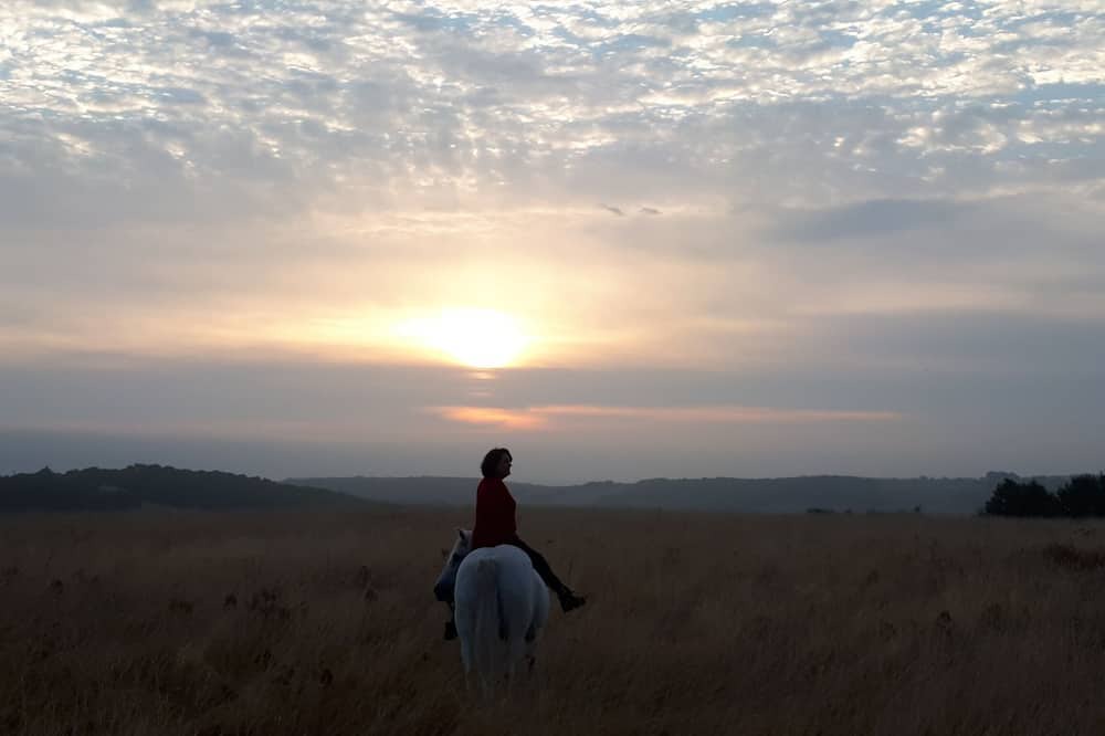 Photo of Others in Lagraulet-Saint-Nicolas