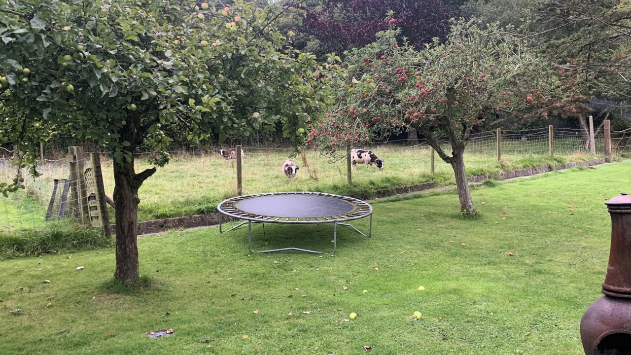 Photo of Outdoor in Denbigh