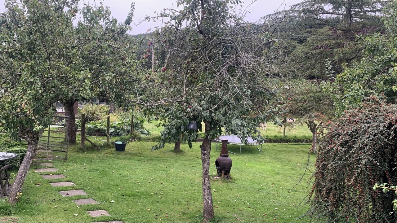 Photo of Outdoor in Denbigh