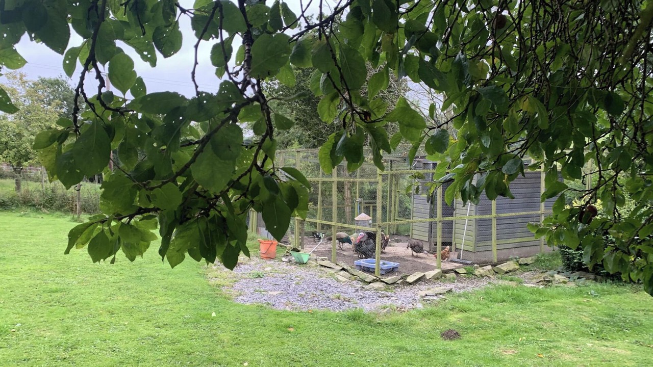 Photo of Outdoor in Denbigh