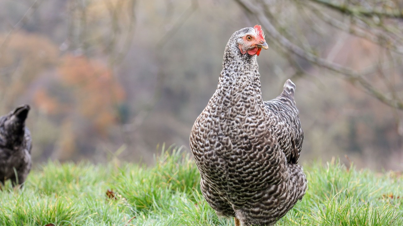 Photo of Others in Beck Hole