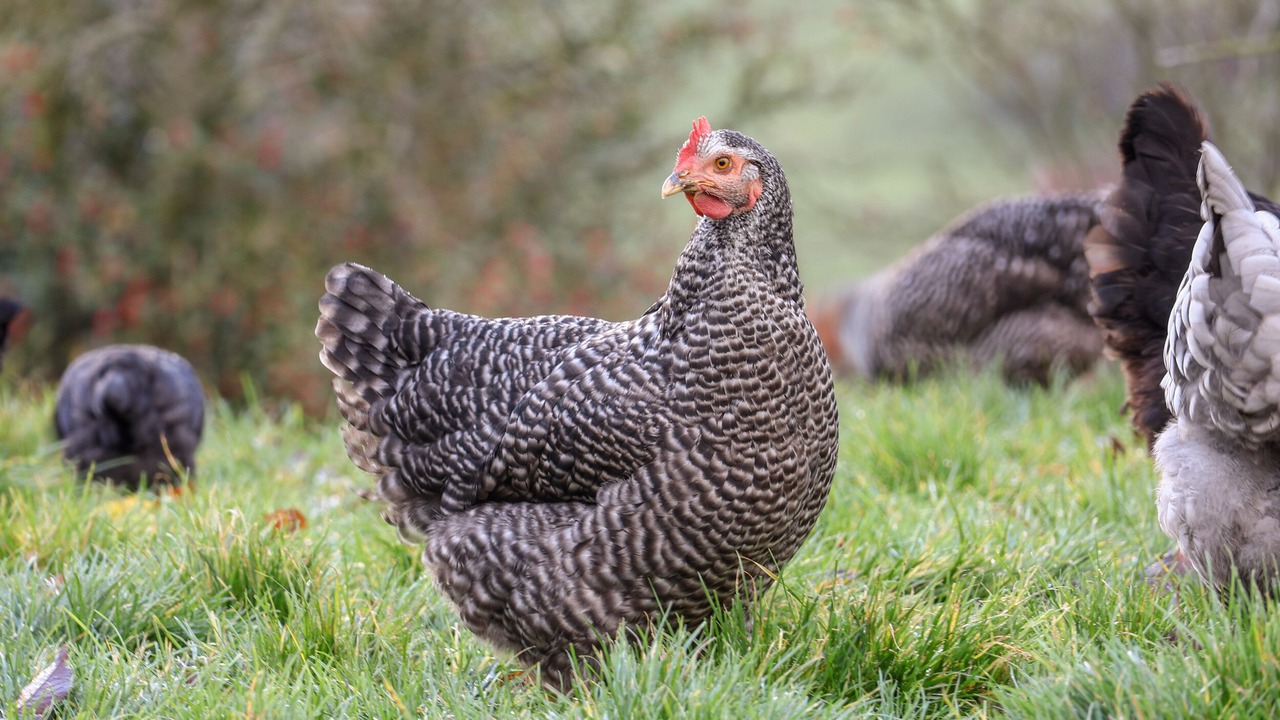 Photo of Others in Beck Hole