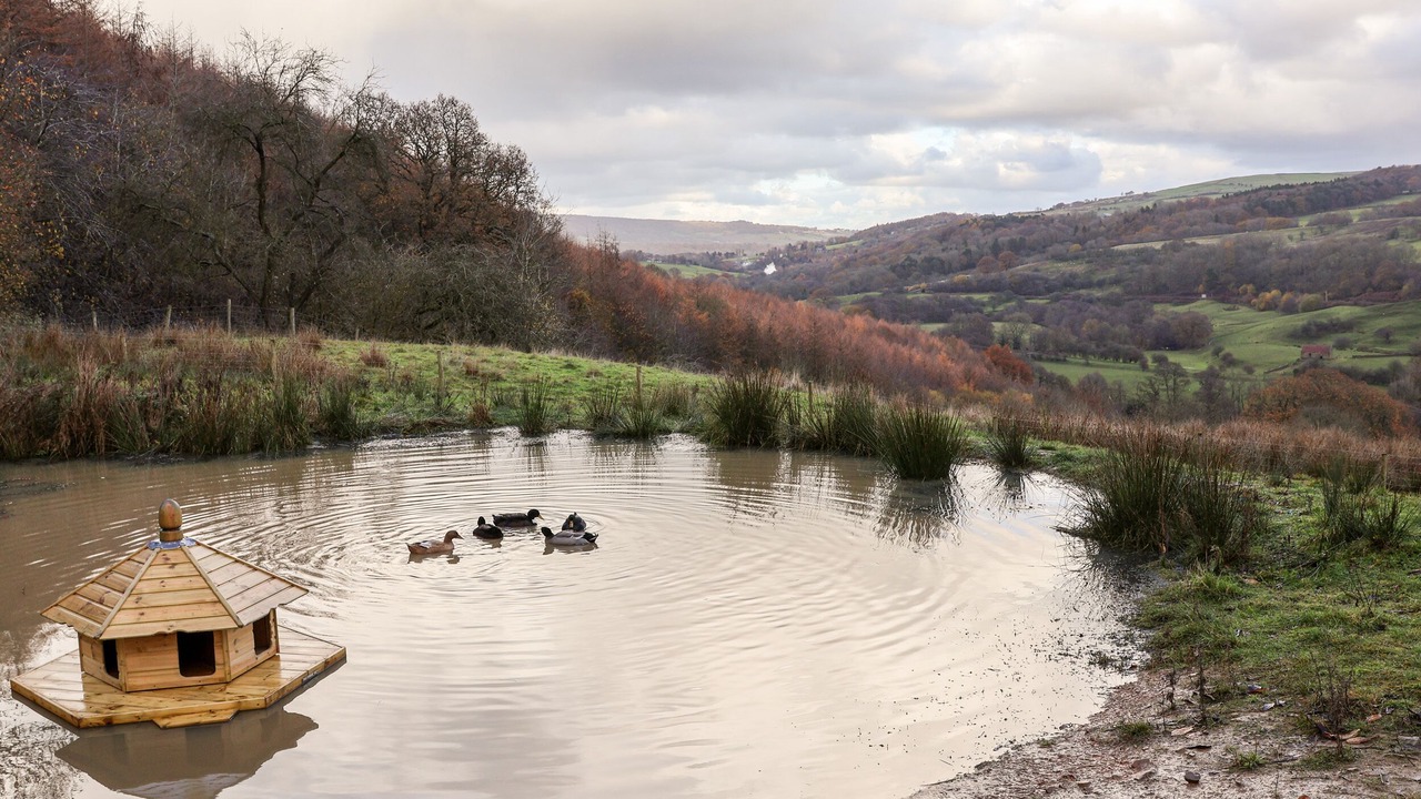 Photo of Others in Beck Hole