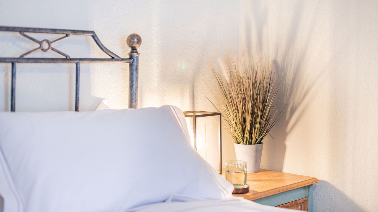 Photo of Others in Christchurch