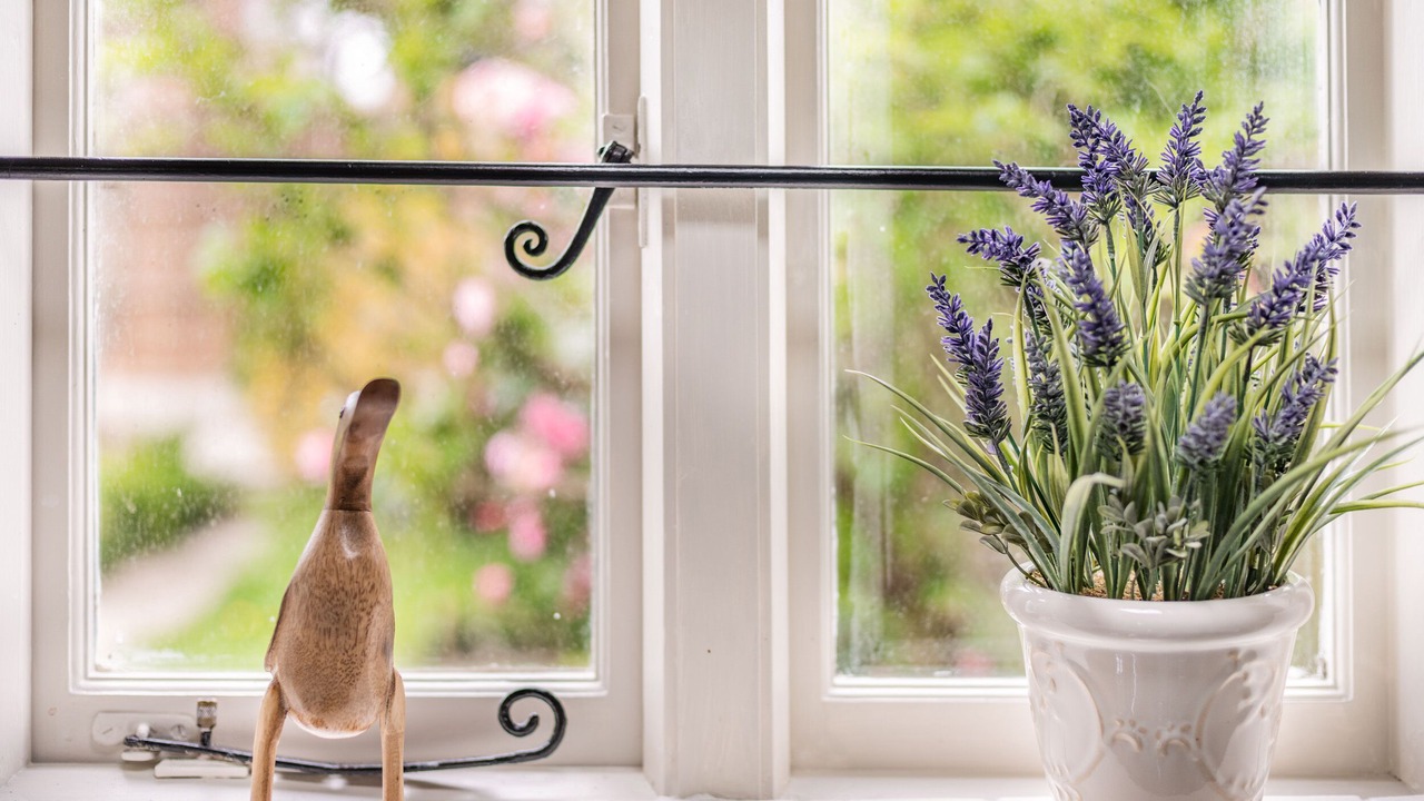 Photo of Others in Christchurch