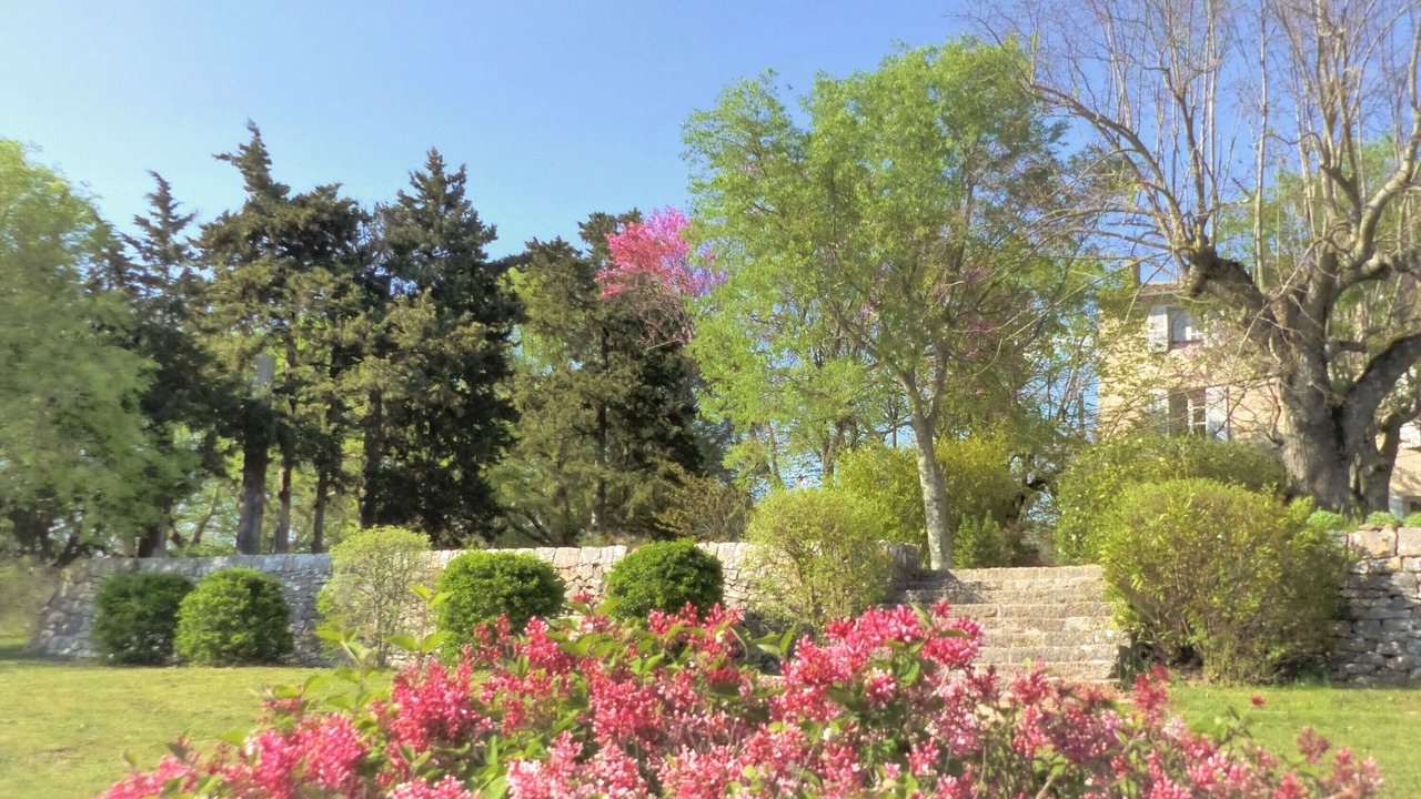 Photo of Outdoor in Saint-Maximin-la-Sainte-Baume