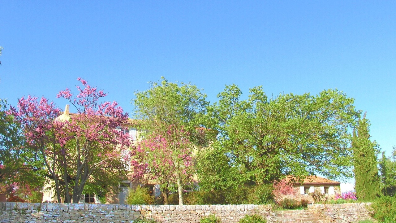 Photo of Outdoor in Saint-Maximin-la-Sainte-Baume