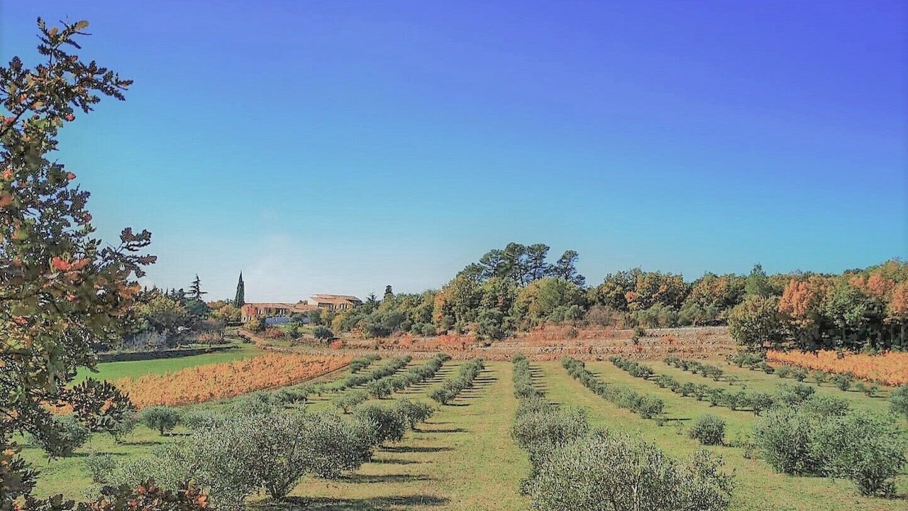 Photo of Outdoor in Saint-Maximin-la-Sainte-Baume