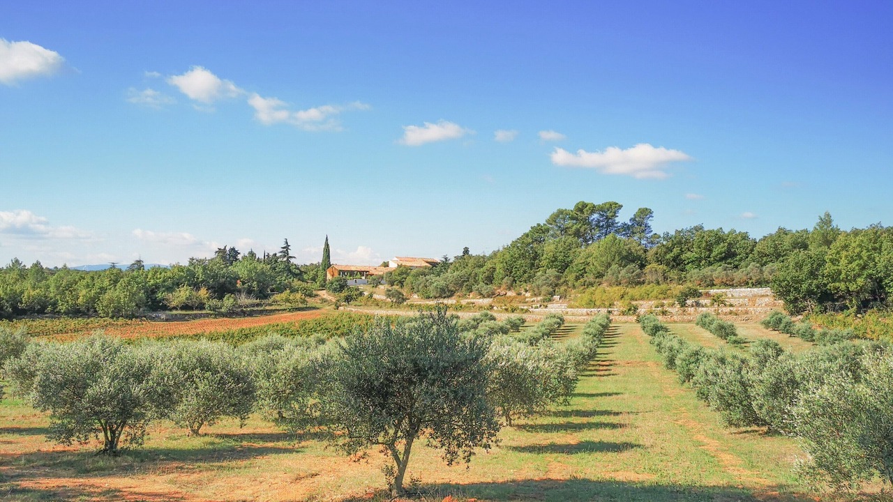 Photo of Others in Saint-Maximin-la-Sainte-Baume