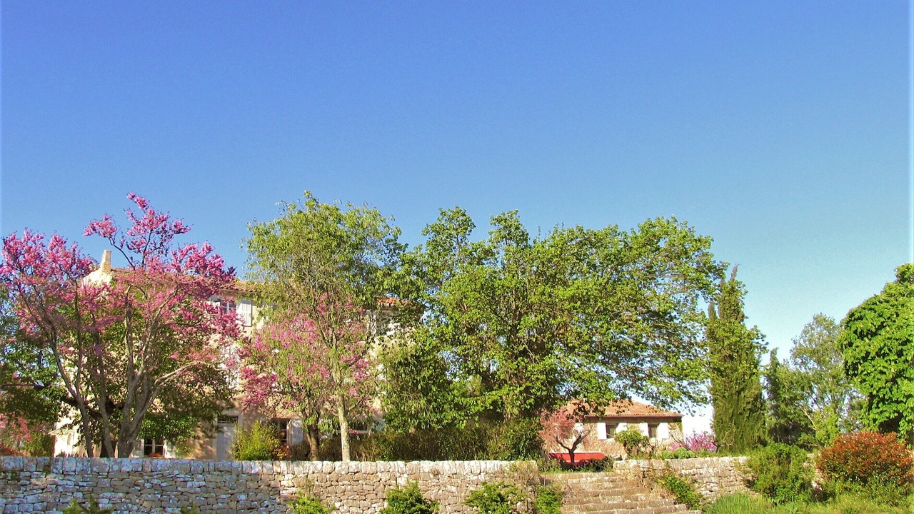 Photo of Outdoor in Saint-Maximin-la-Sainte-Baume