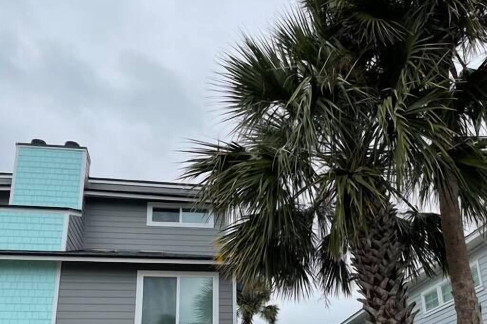 Photo of Outdoor in Neptune Beach